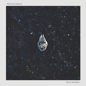 朝鲜妓女的大BBBBB
